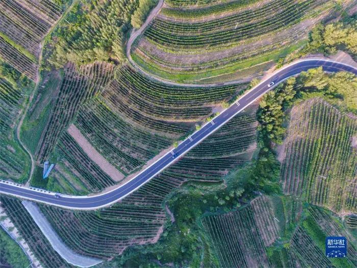 微信图片_20220607114147.jpg 微信图片_20220607114147.jpg