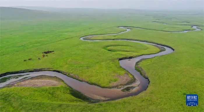 微信图片_20220607114126.jpg 微信图片_20220607114126.jpg