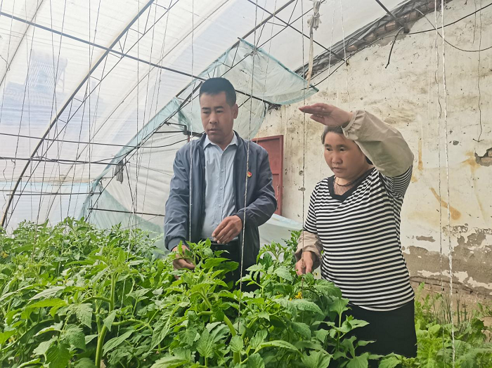 图片6.png 图片6.png